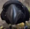neongaming133118's Avatar